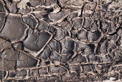 Cracked, dried out earth. Textured background in dark colors.