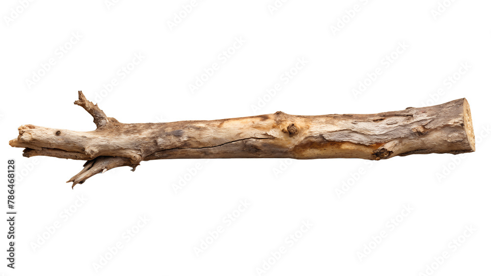 Rustic Dry Tree Branch, isolated on transparent background Rustic Dry Tree Branch, isolated on transparent background