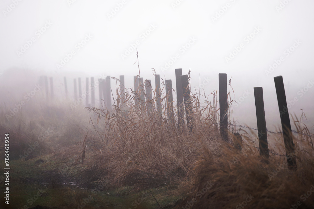 Obraz premium Fence made of wooden pickets , foggy sunrise