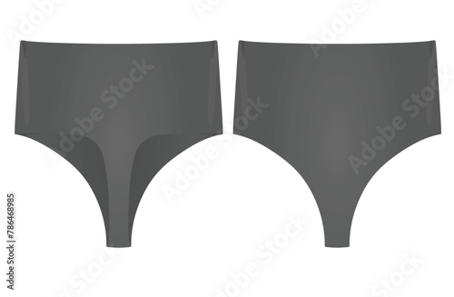 Grey  female panties knickers. vector