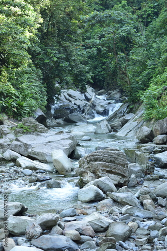 río danubio photo