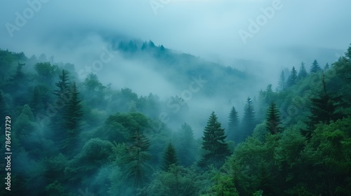 Misty Forest at Dawn with Lush Greenery
