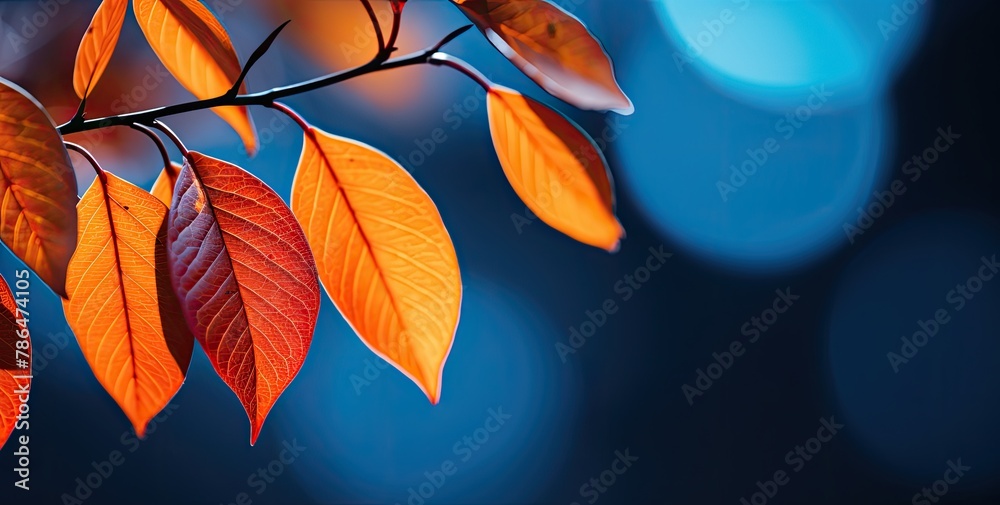 Vibrant orange-red autumn leaves background. Vibrant orange-red autumn leaves background.