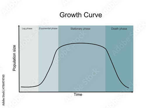 The growth curve: a lag, Exponential or log, stationary and death or decline phase that shows relationship between population size and  growth period. 