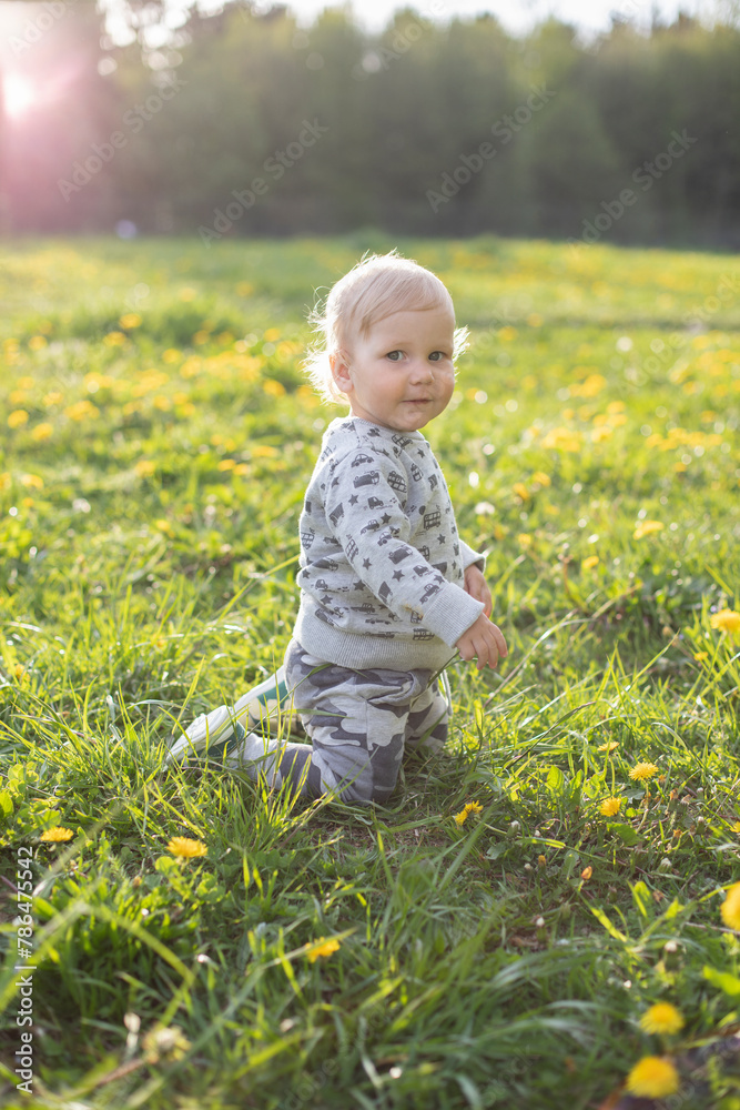 a one-year-old fair-haired boy sits on a sunny day in a meadow with yellow dandelions
a one-year-old fair-haired boy sits on a sunny day in a meadow with yellow dandelions