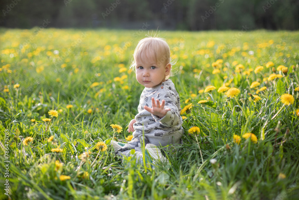 a one-year-old fair-haired boy sits on a sunny day in a meadow with yellow dandelions
a one-year-old fair-haired boy sits on a sunny day in a meadow with yellow dandelions