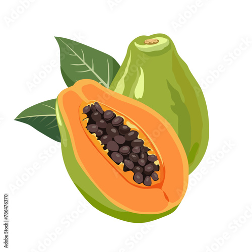 juicy orange cut papaya with leaves. Isolated vector summer fruit on white background for design