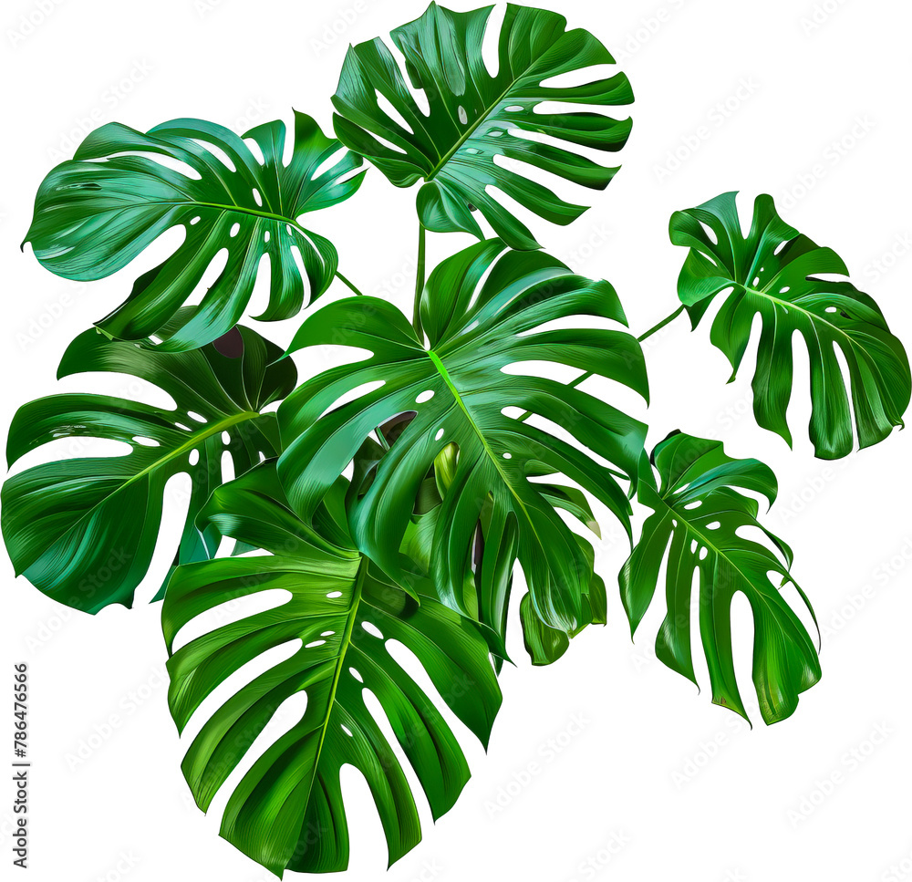 Lush green tropical leaves cut out png on transparent background