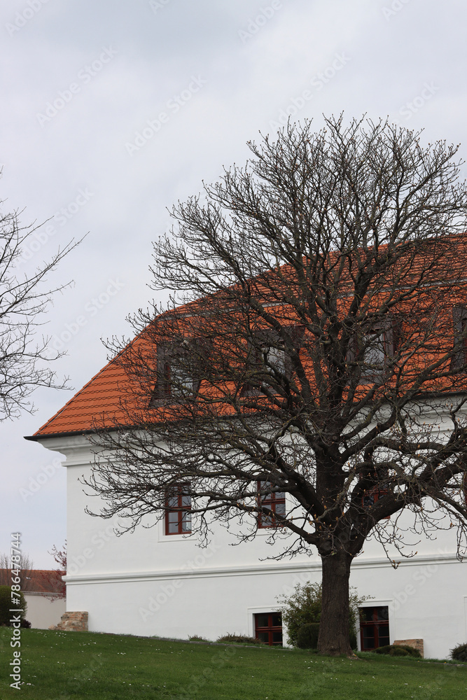 Old building with red roof and bare trees on a cloudy day.
