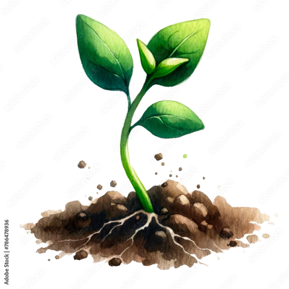 Watercolor Plant Sprouts Clipart, Plant Growth Process Illustrations ...