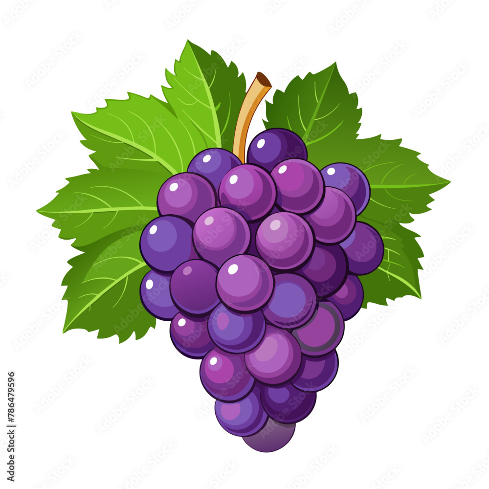 Fototapeta premium ПечатьRed table grapes. Fresh fruit from which wine is made