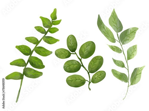 3 green leaves isolated on white