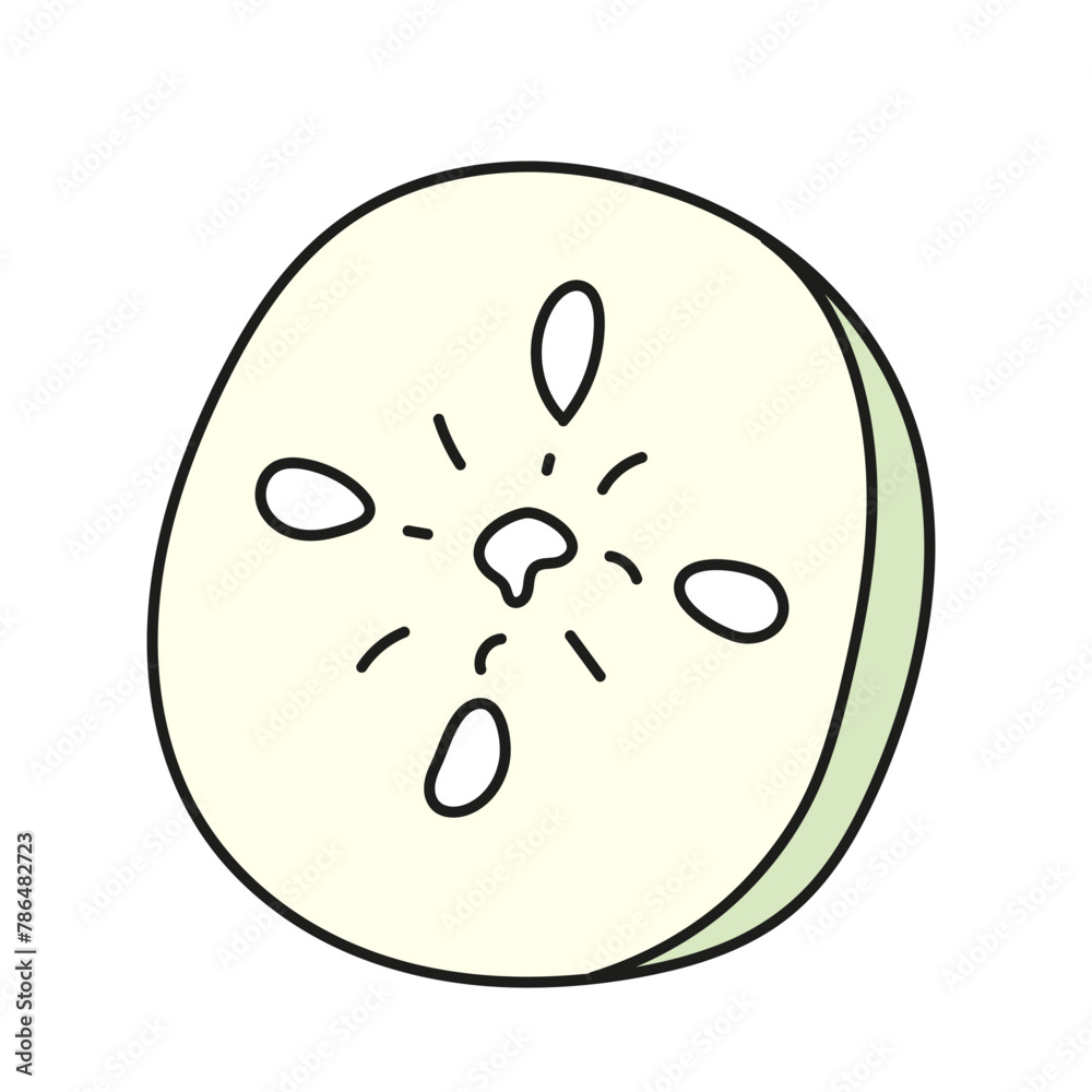 Fototapeta premium Cucumber slice. Vector illustration in doodle style