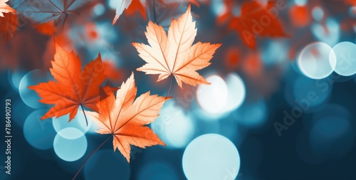 Background featuring beautiful orange-red autumn leaves.