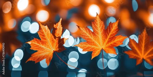 Background featuring beautiful orange-red autumn leaves.