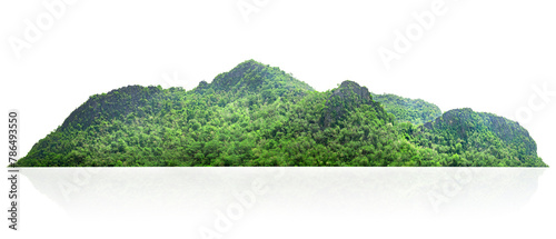 mountain range with lush green trees isolate on white background © lovelyday12