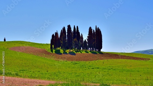 landscape of the famous cypress trees of San Quirico d'Orcia which make up the rhomboidal grove on the hills of the Val d'Orcia in Siena, Tuscany, Italy