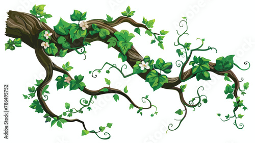 Twisted liana branch with green leaves and flowers.