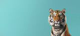 This stunning image captures the essence and detailed features of a majestic tiger against a teal background