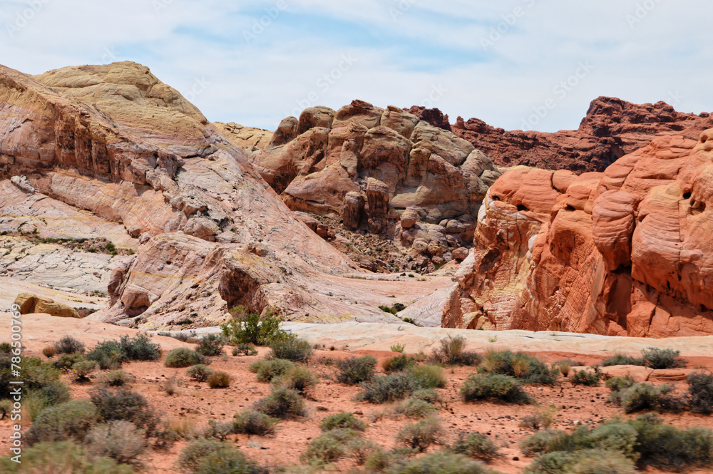 Fototapeta premium red rock canyon