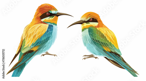 Vector drawing of a pair of colorful bee-eater birds