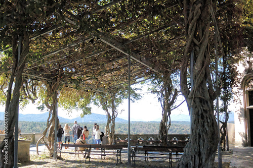 Arbor deck