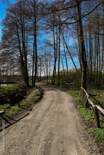 Wiejska droga wczesną wiosną 