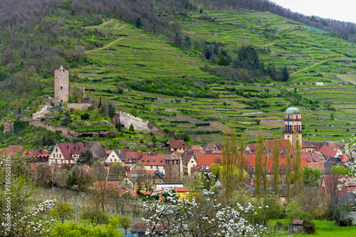 Kaysersberg au printemps : entre le majestueux château Schlossberg et l'église Sainte-Croix, une balade dans l'histoire alsacienne
