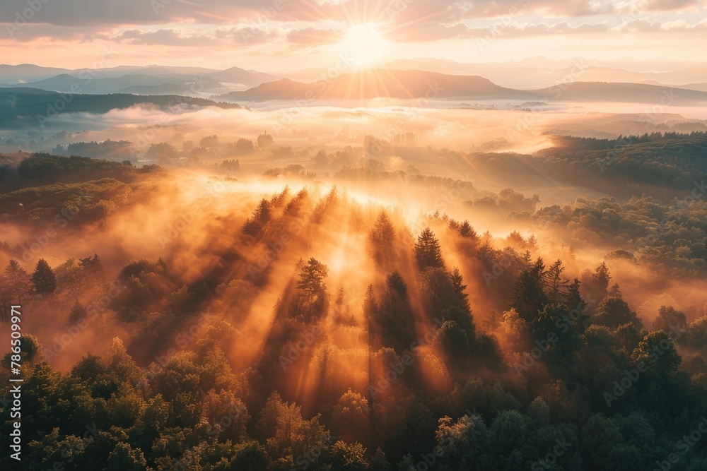 Sunrise over misty forest landscape with sun rays. Generate AI image