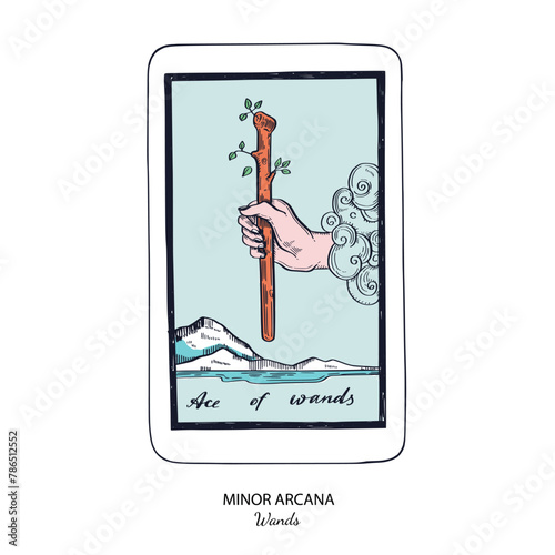 Tarot card vector deck . Minor Arcana Wands . Occult esoteric spiritual Tarot. Isolated colored hand drawn illustrations
