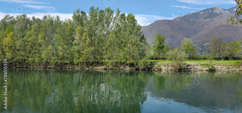 landscape on the river with green trees in spring