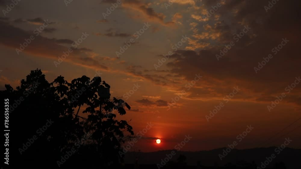 sol rojo de veranocon arbol en sombras