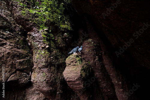 Hopewell Rocks in Bay of Fundy, no people