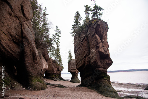 Hopewell Rocks in Bay of Fundy, no people photo