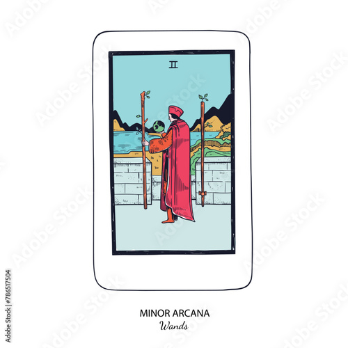 Tarot card vector deck . Minor Arcana Wands . Occult esoteric spiritual Tarot. Isolated colored hand drawn illustrations
