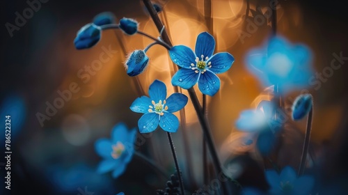 Macro shot of small blue flowers © 2rogan