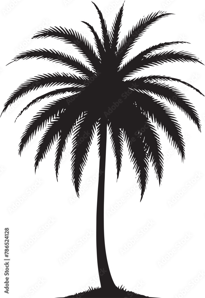 Fototapeta premium Palm Tree Silhouette Vector