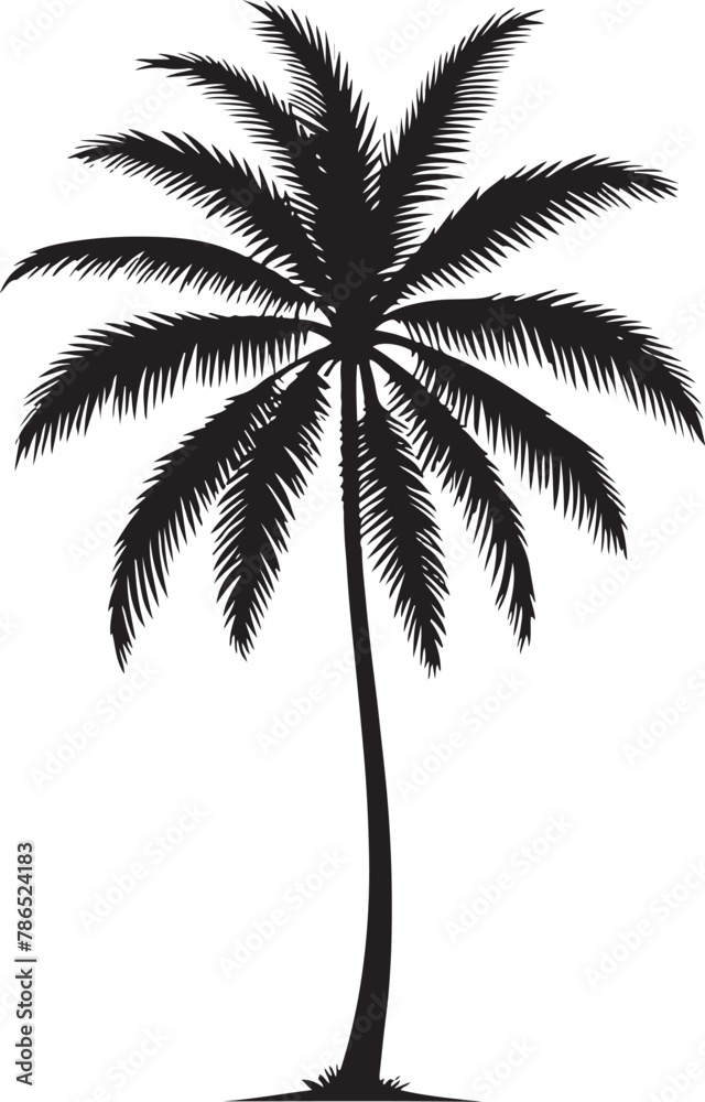 Palm Tree Silhouette Vector Palm Tree Silhouette Vector