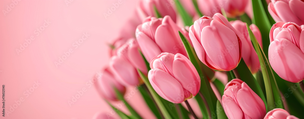 Obraz premium Bouquet of pink tulips on pink background. Mother's day background.