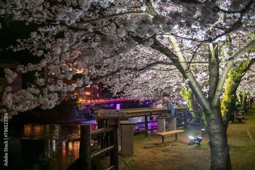 man at Ureshino Onsen Park with sakura and bridge light up, Saga © Blanscape
