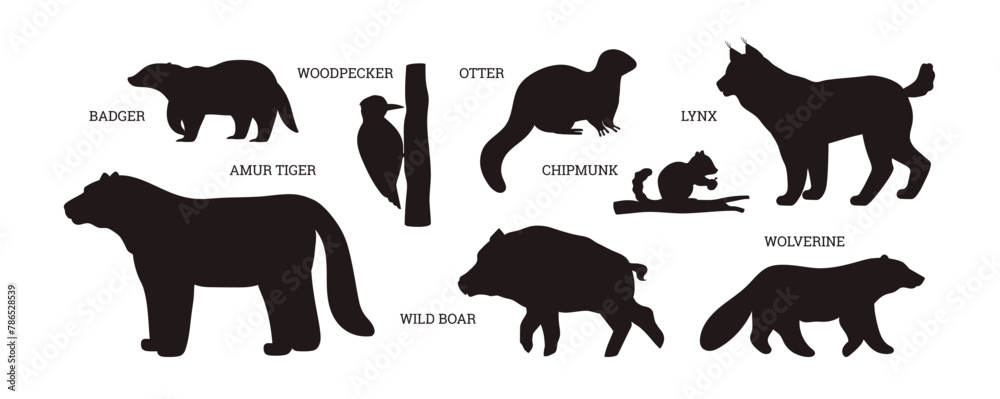 Taiga animals silhouette with names set of vector illustrations