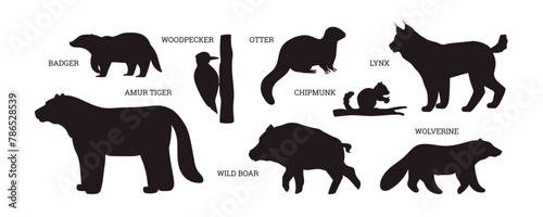 Taiga animals silhouette with names set of vector illustrations
