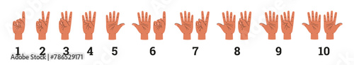 Hands count and show numbers with fingers, flat vector illustration isolated.