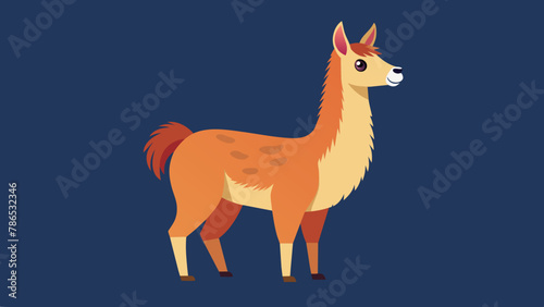 Vector illustration of cute character south America lama. Isolated cartoon baby llama. Hand drawn Peru animal guanaco, alpaca, vicuna. Drawing for print, fabric.