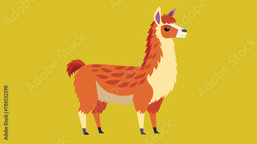 Vector illustration of cute character south America lama. Isolated cartoon baby llama. Hand drawn Peru animal guanaco, alpaca, vicuna. Drawing for print, fabric.
