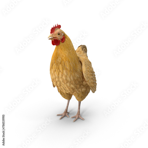 Lifelike Chicken 3D Model PNG - Essential for Educational Projects and Agricultural Presentations.