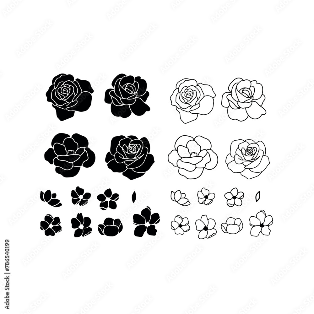 Rose vector outline an silhouette illustrations. Floral botanical flat vector Rose vector outline an silhouette illustrations. Floral botanical flat vector