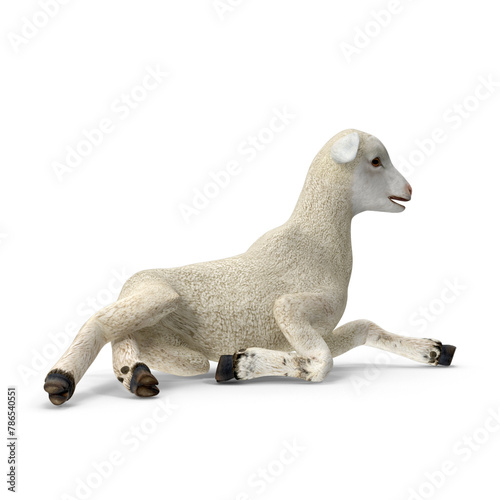Realistic Lamb Pose 3D Model PNG - Ideal for Veterinary Training and Educational Farm Programs. © HarshDesigns