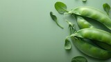 snow peas A photorealistic illustration against pastel pastel green background with copy space for text or logo, beautifully illuminated by studio lighting