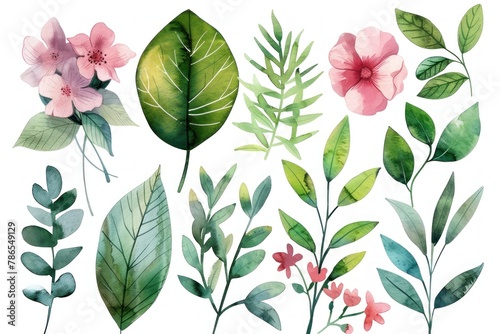 A collection of watercolor flowers and leaves